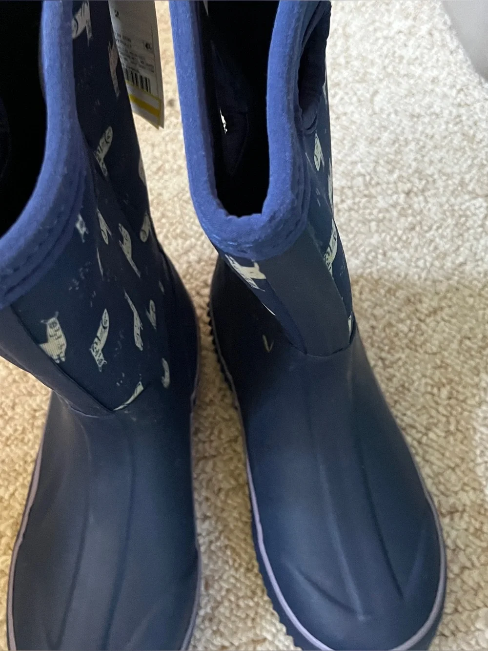 Cat&Jack Rainboots